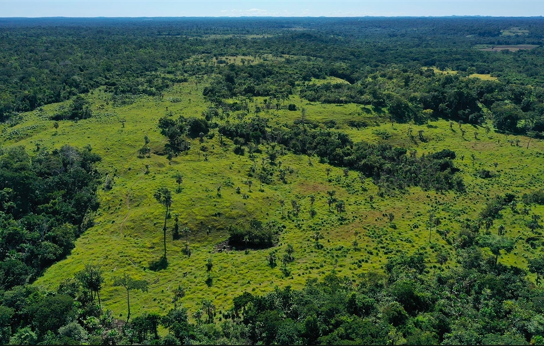 La Colorada Selva Maya Guatemala (c) WCS